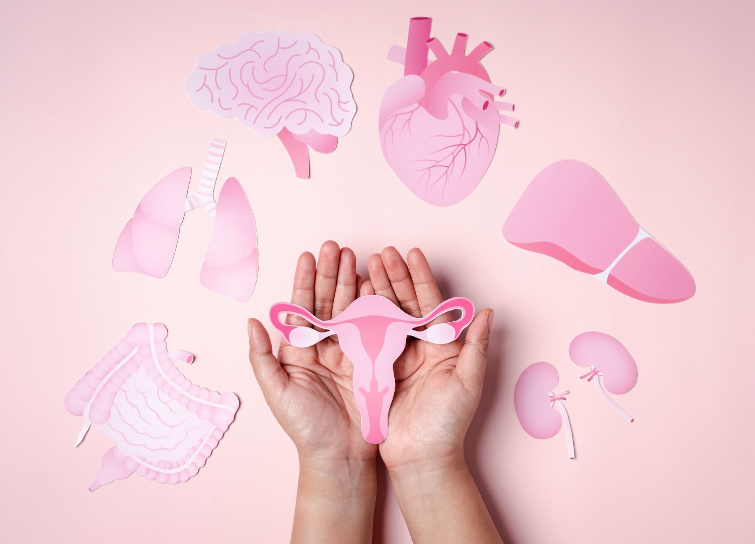 Guide to embracing menopause